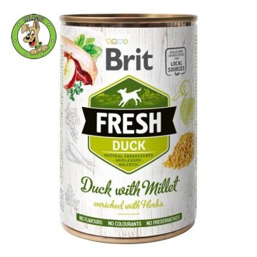 duck-with-millet