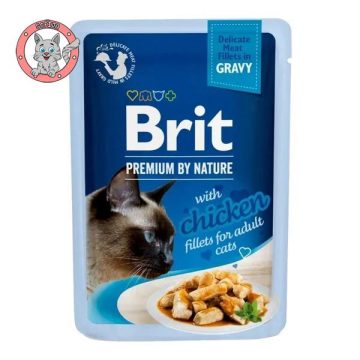 cat-delicate-fillets-in-gravy-chicken