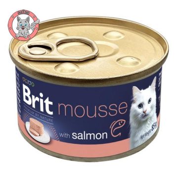 cat-mousse-salmon