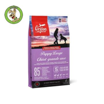 puppy-large-breed