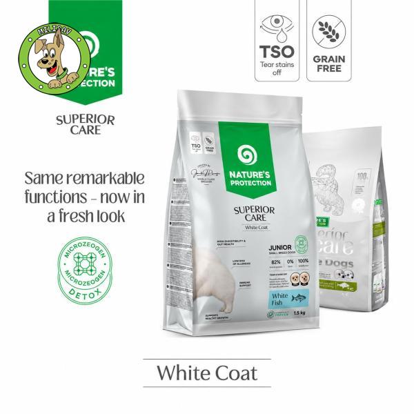 White Dog, White Fish - Junior Small And Mini