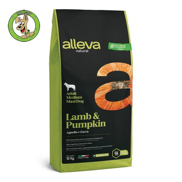 Natural Dog Adult Lamb & Pumpkin Medium/Maxi
