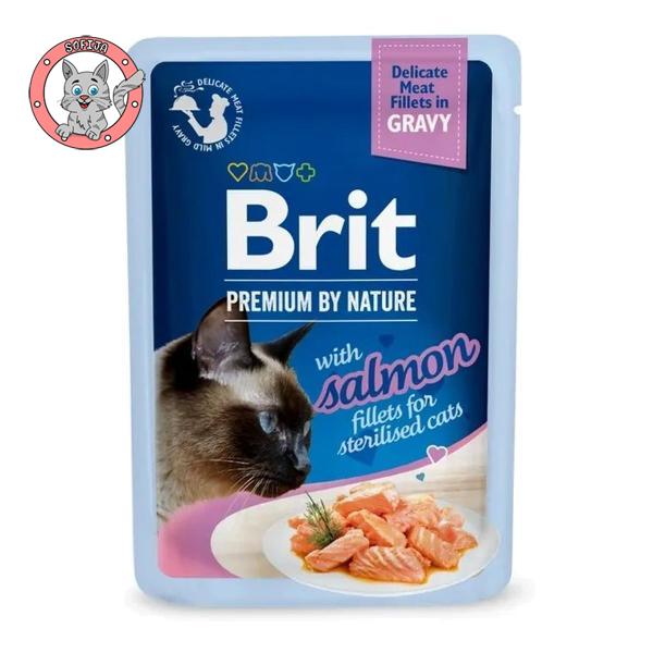 Cat Delicate Fillets in Gravy Salmon for Sterilised