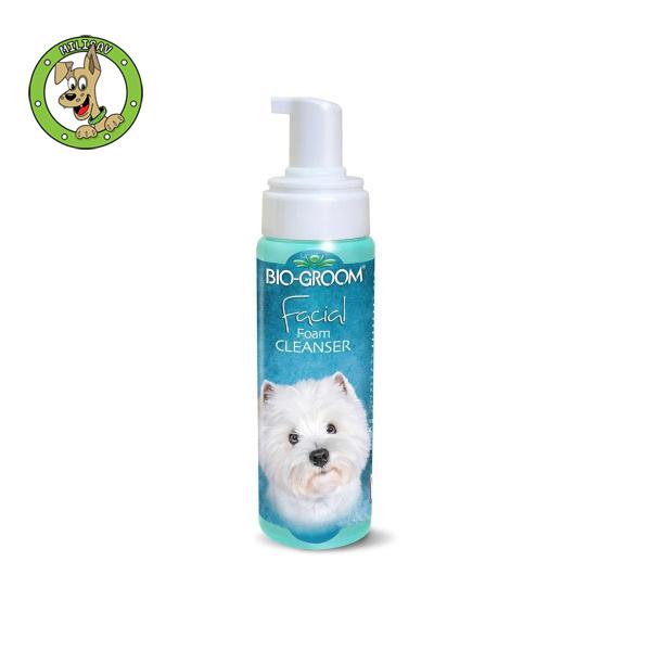 Facial Foam Cleanser