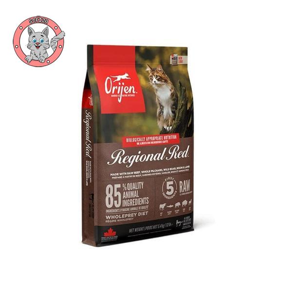 Regional Red Cat