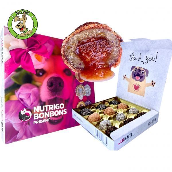 LK Baits Pet NUTRIGO BONBONS Present Large - Dog Treats - poslastice za pse - 100g
