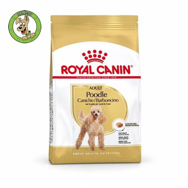 Royal Canin Poodle Adult – hrana za odrasle pudle - 500g