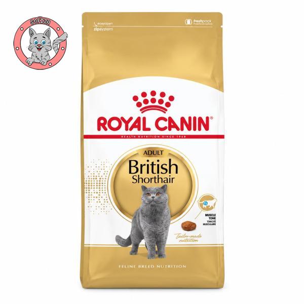 Royal Canin British Shorthair Adult – hrana za odrasle britanske kratkodlake mačke - 400g