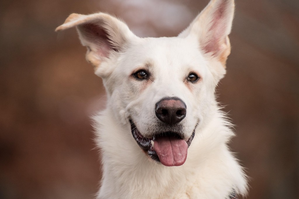 Lili